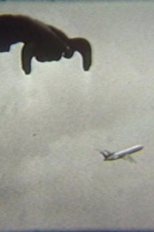 Movie poster for Flying (1979)