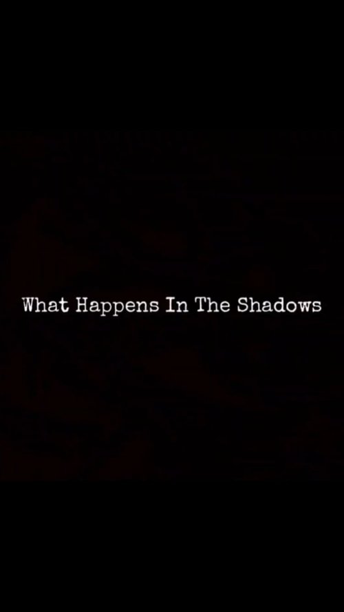 What Happens In The Shadows poster
