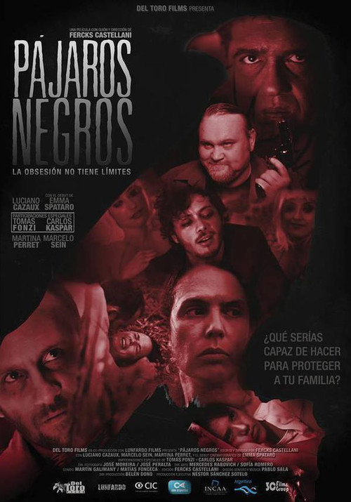 Movie poster for Pájaros negros (2015)