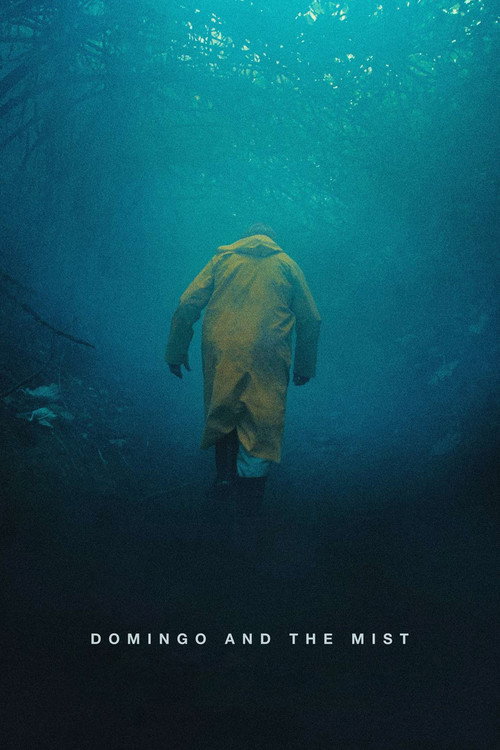 Movie poster for Domingo and the Mist (2022)