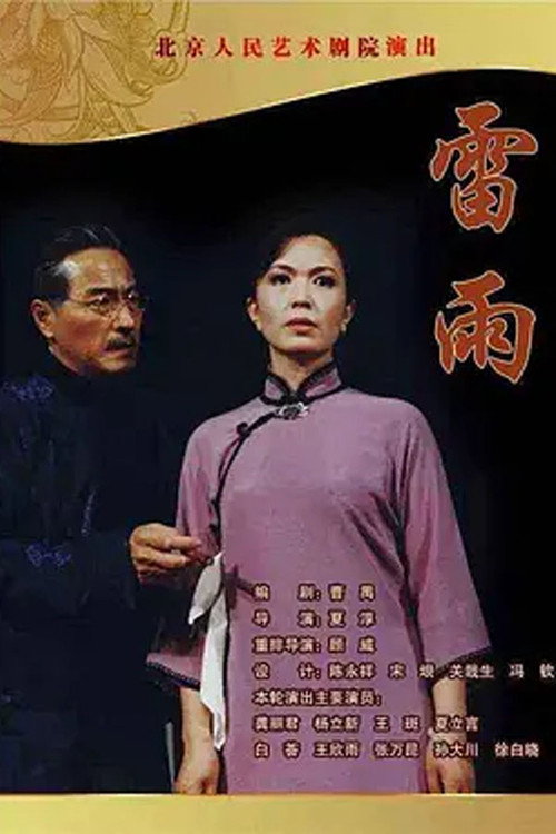 Movie poster for 雷雨 (2004)