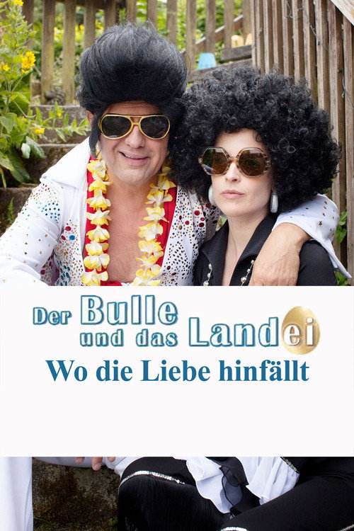 Movie poster for Der Bulle und das Landei - Wo die Liebe hinfällt (2015)