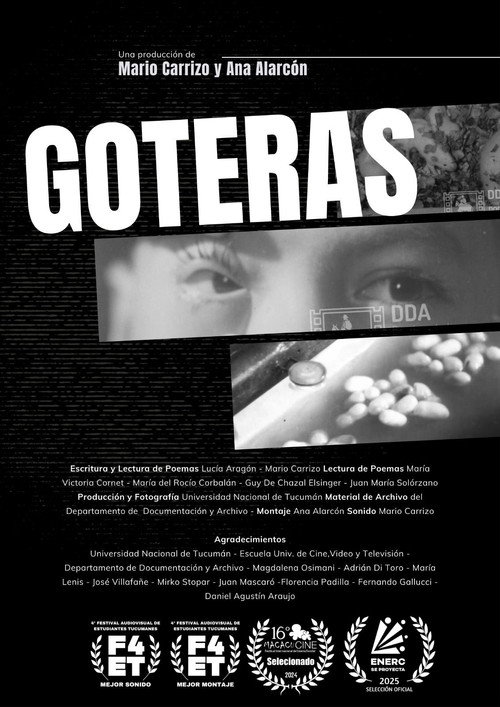 Movie poster for Goteras (2025)