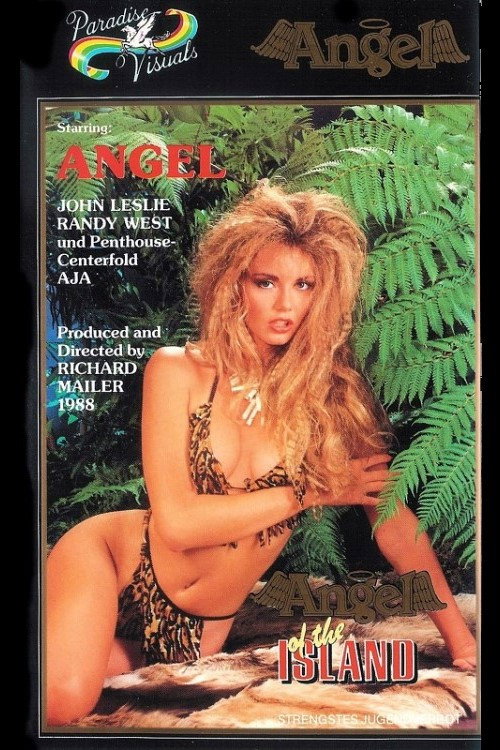 Movie poster for Angel of the Island (1989)