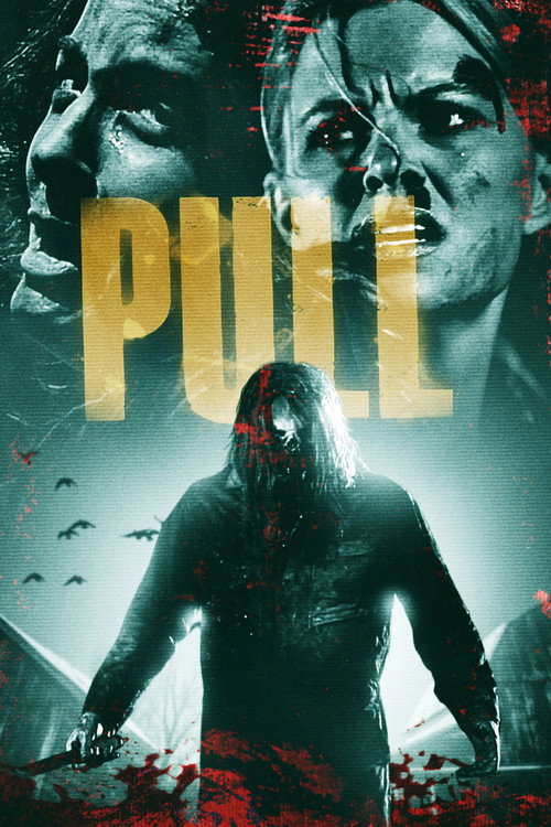 Movie poster for Pull (2019)