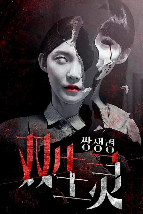 Movie poster for Twin Spirit (2015)