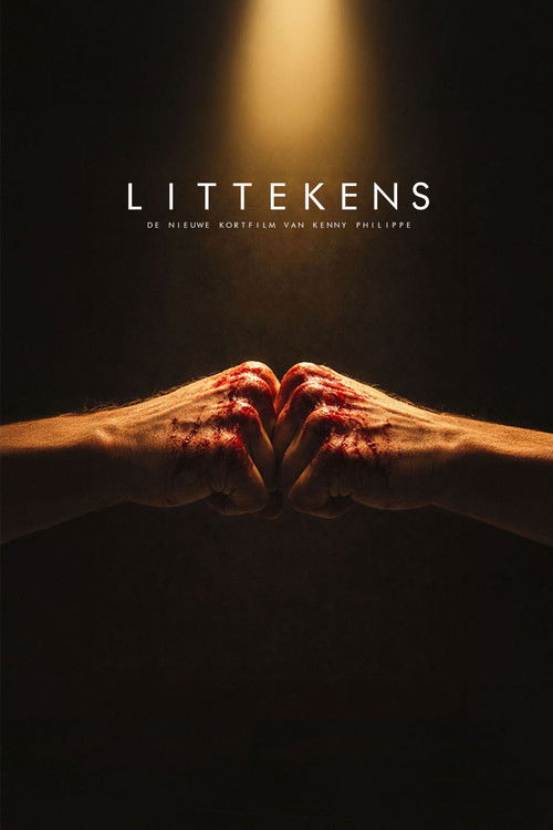 Movie poster for Littekens (2027)
