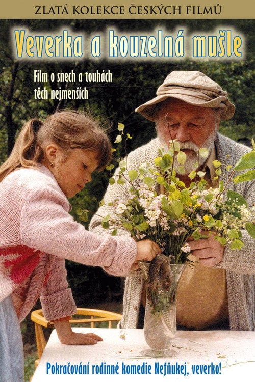 Movie poster for The Squirrel and the Magic Shell (1989)