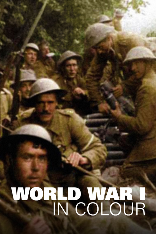 World War 1 in Colour poster