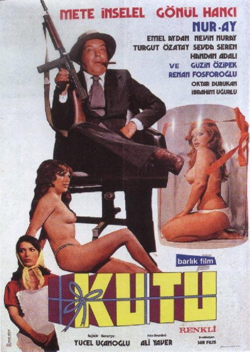 Movie poster for Bu Kutu Başka Kutu (1975)