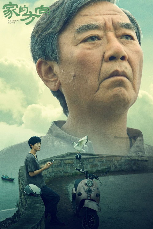 Movie poster for 家的方向 (2025)
