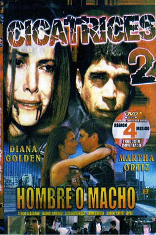 Movie poster for Scars 2 (2007)