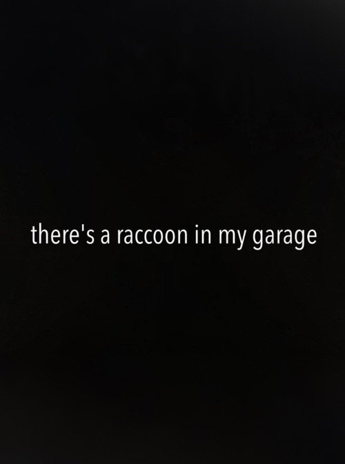 Movie poster for There's a Raccoon in My Garage (2024)