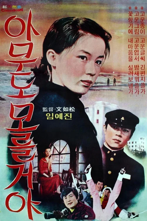 Movie poster for Nobody Knows (1977)