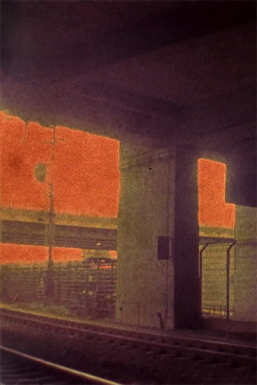 Movie poster for A text floating on a river (2022)