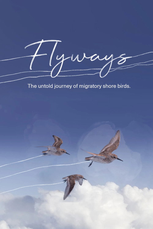 Movie poster for Flyways: The Untold Journey of Migratory Shorebirds (2023)