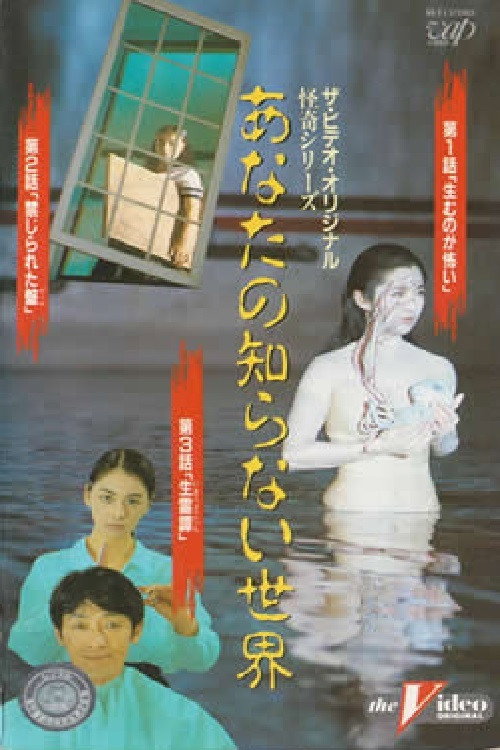Movie poster for The World You Don't Know II (1991)
