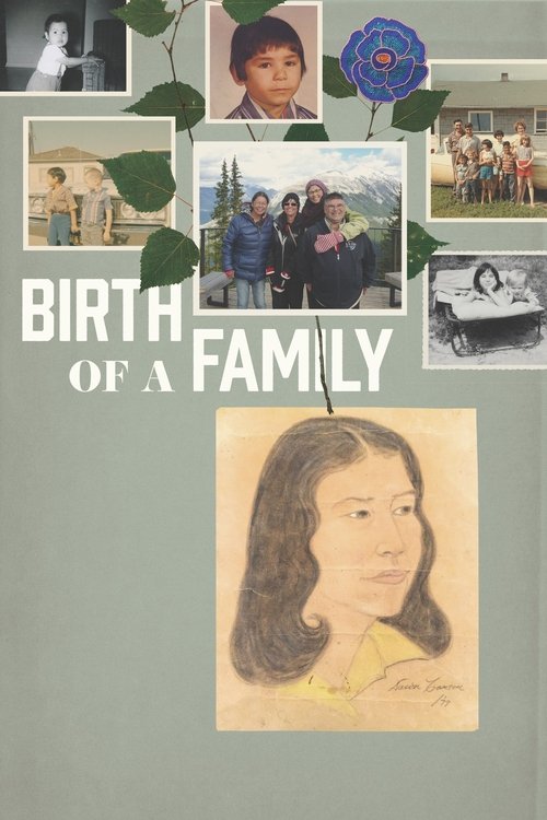 Movie poster for Birth of a Family (2017)