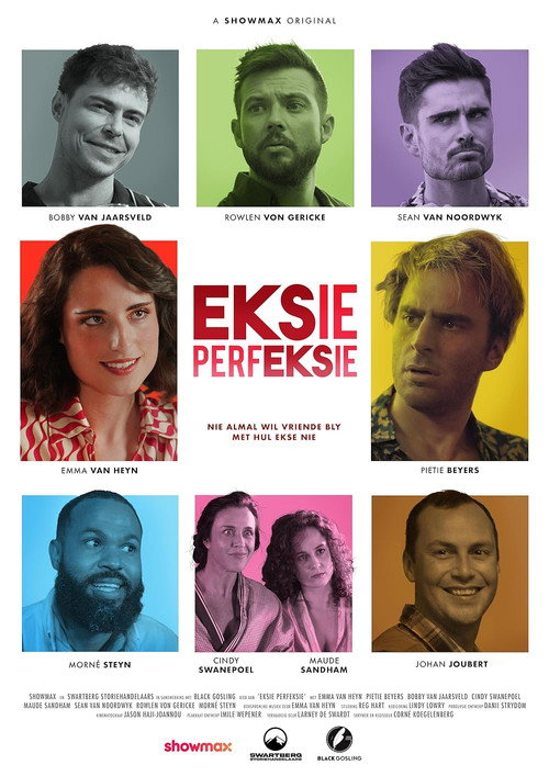 Movie poster for Eksie Perfeksie (2024)