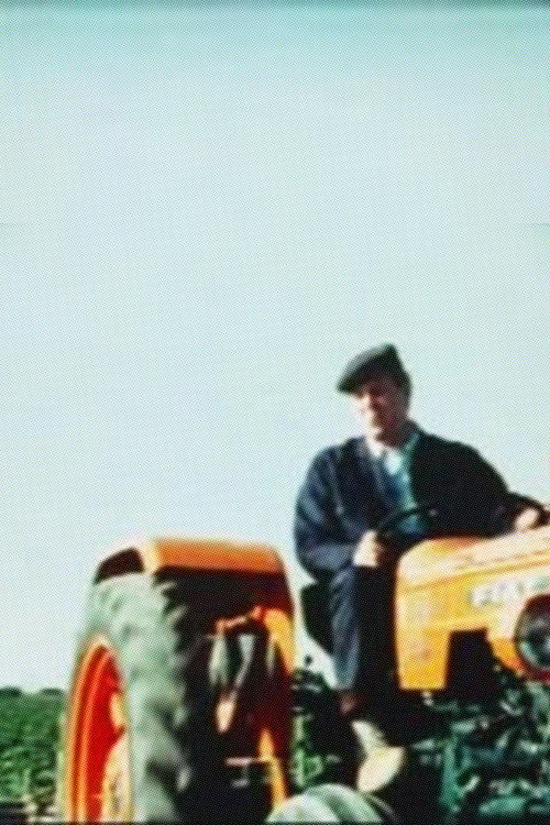 Movie poster for Summer in the Fields (1967)