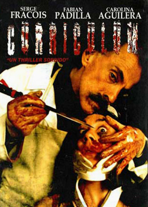 Movie poster for Curriculum (2006)