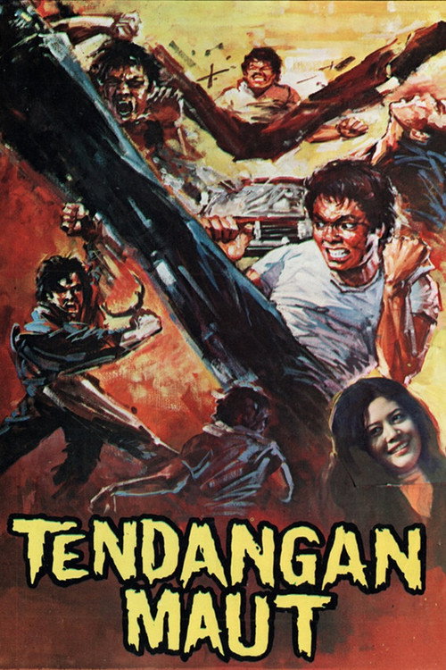 Movie poster for Deadly Kick (1973)