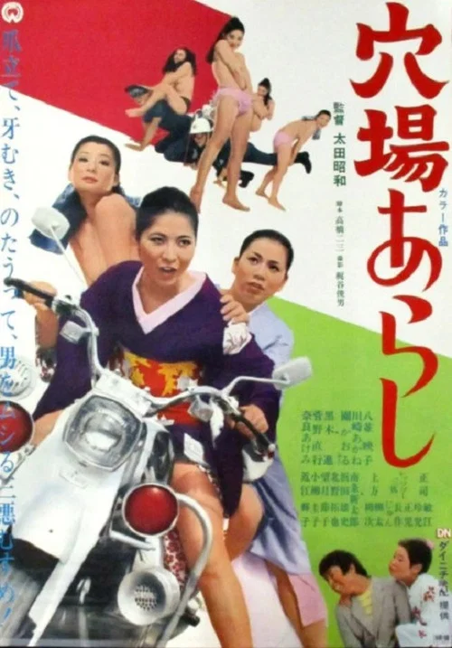 Movie poster for Hiding-Place in the Storm (1971)