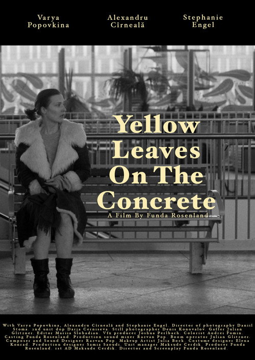 Movie poster for Yellow leaves on the concrete (2025)
