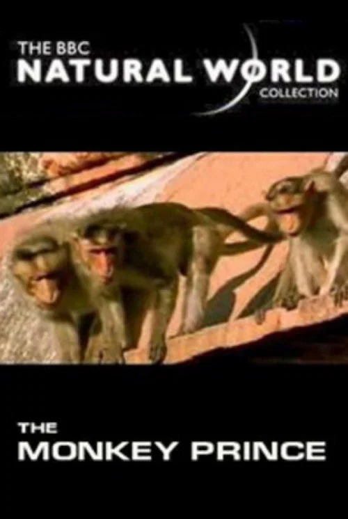 Movie poster for The Monkey Prince (2003)