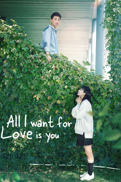 All I Want for Love is You poster