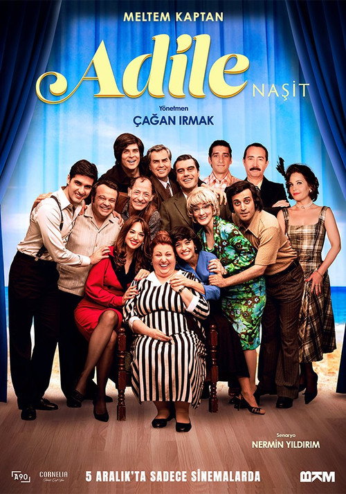Movie poster for Adile Nasit (2025)
