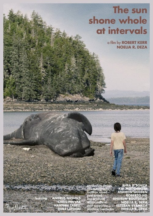 Movie poster for The Sun Shone Whole at Intervals (2023)