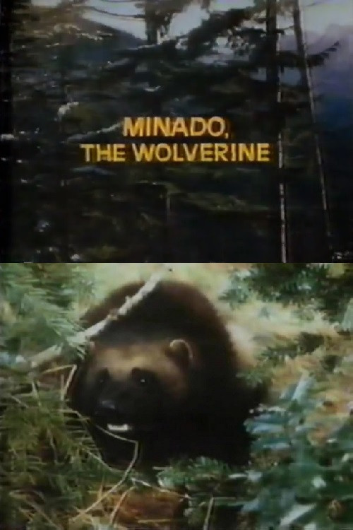 Movie poster for Minado, the Wolverine (1965)