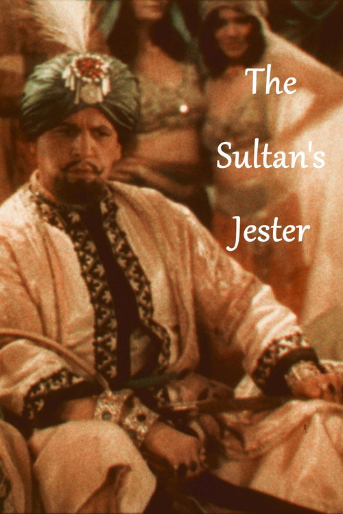 Movie poster for The Sultan's Jester (1930)