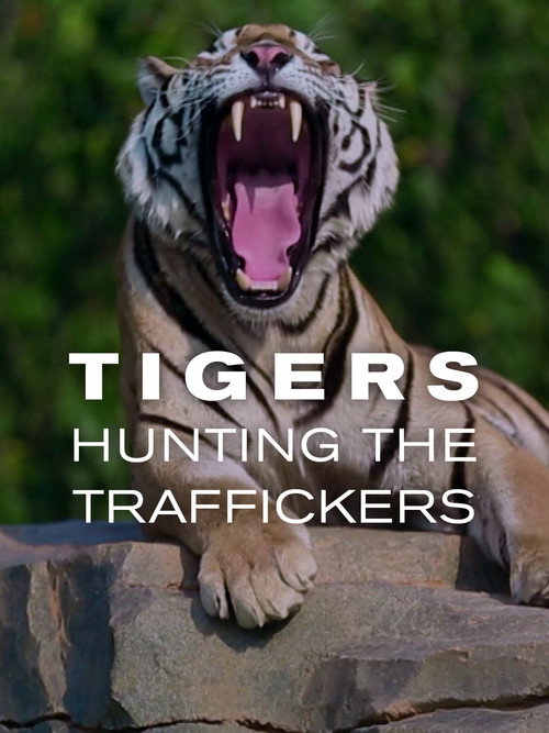 Movie poster for Tigers: Hunting the Traffickers (2020)