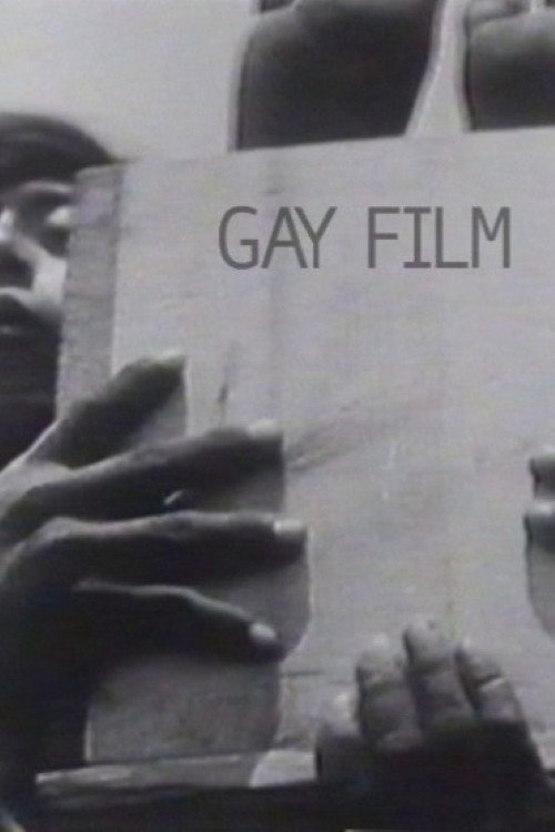 Movie poster for Gay Film (2002)