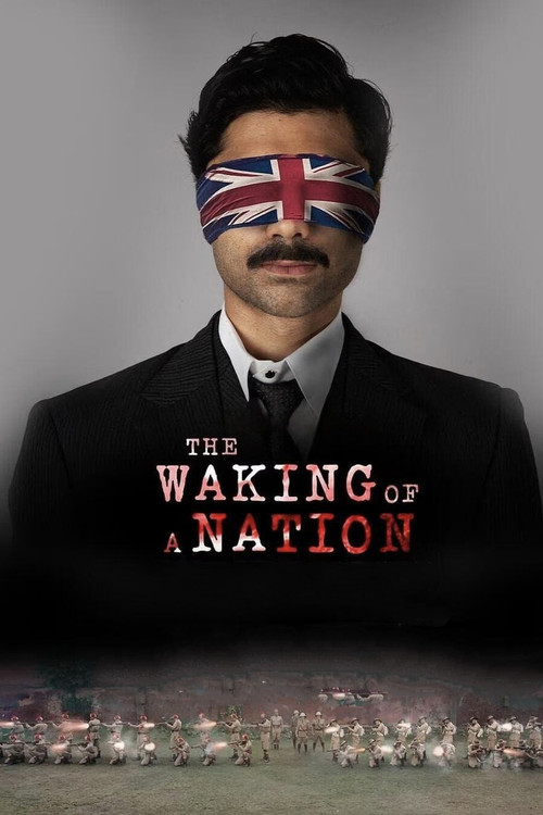 The Waking of a Nation poster