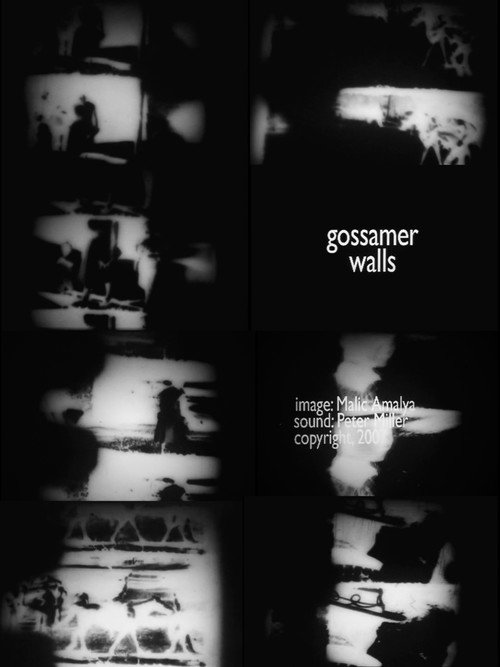 Movie poster for Gossamer Walls (2007)