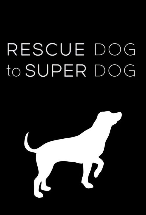 Rescue Dog to Super Dog poster