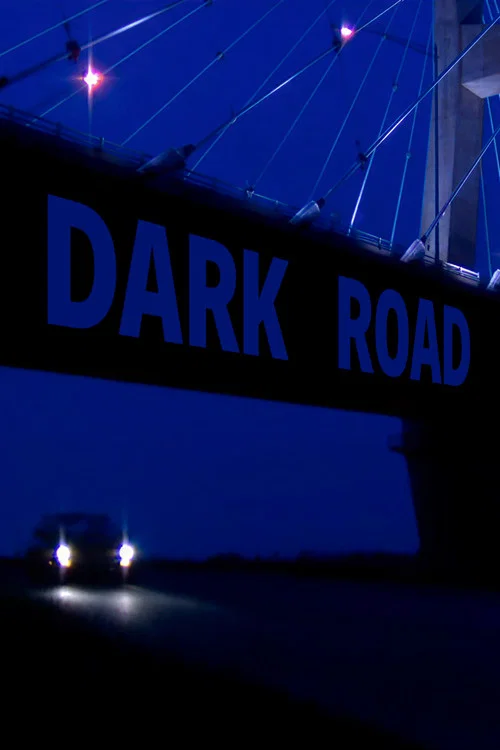 Movie poster for Dark Road (2009)