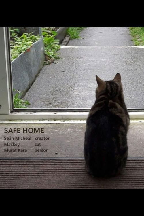 Movie poster for Safe Home (2024)