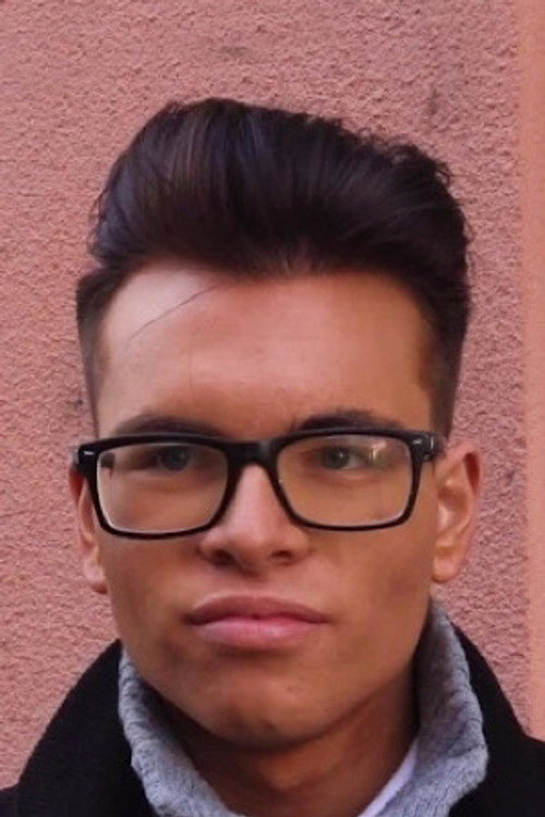 Photo of Mario, Acting