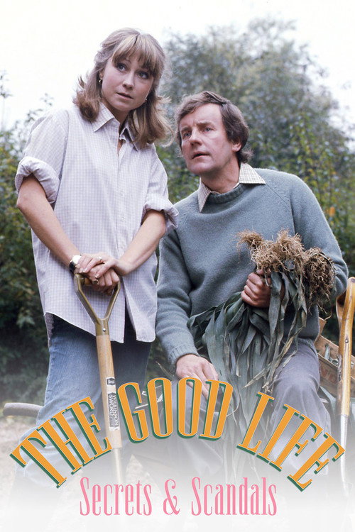 Movie poster for The Good Life: Secret & Scandals (2022)