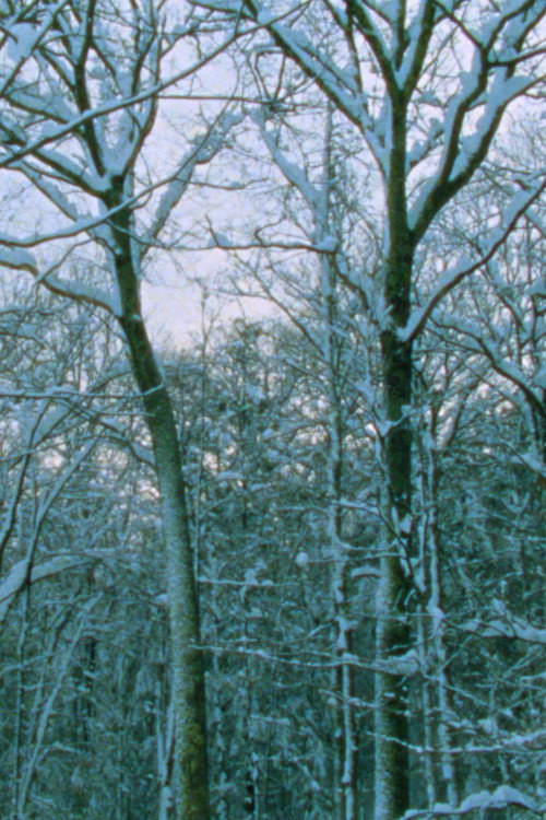 Movie poster for After the Storm (2023)