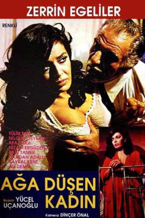 Movie poster for Ağa Düşen Kadın (1979)