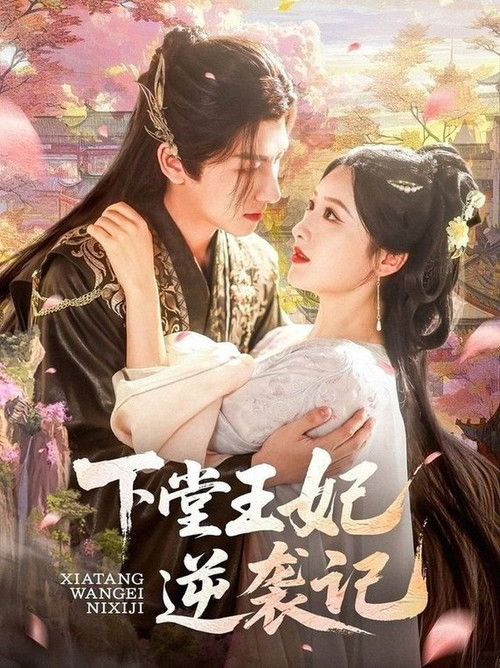 下堂王妃逆袭记 poster