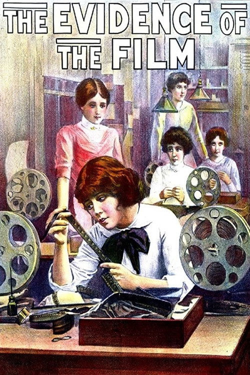 Movie poster for The Evidence of the Film (1913)