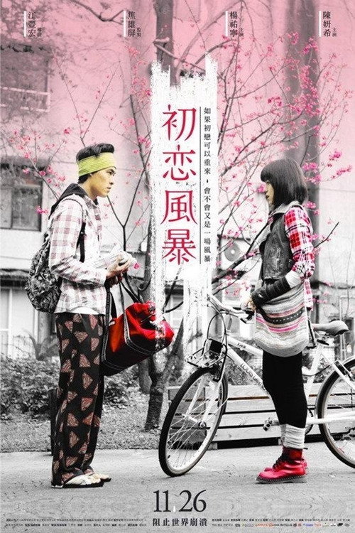 Movie poster for The Tempests of First Love (2010)