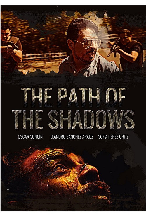 Movie poster for The path of the shadows (2018)