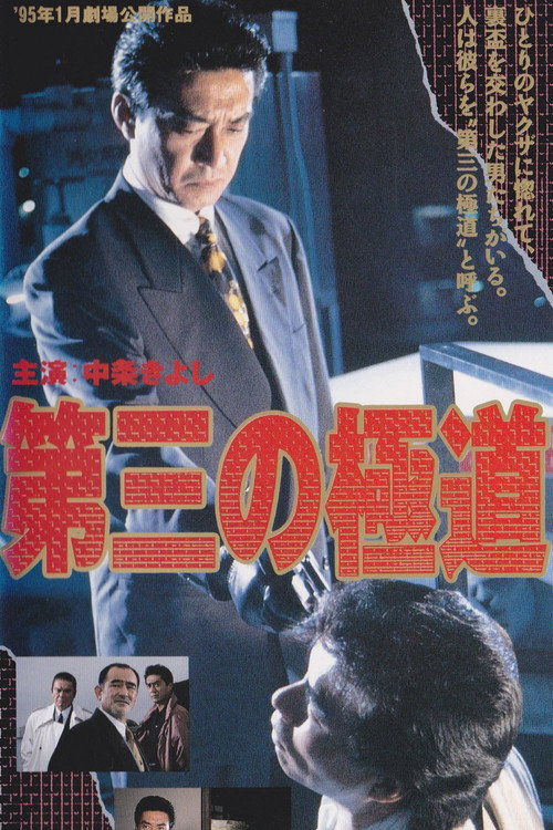 Movie poster for The Third Gangster (1995)